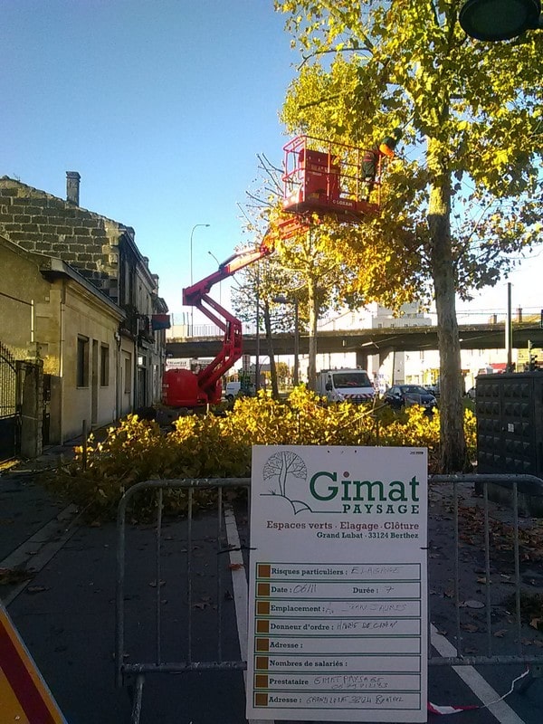 élagage à Marmande par Gimat Paysage