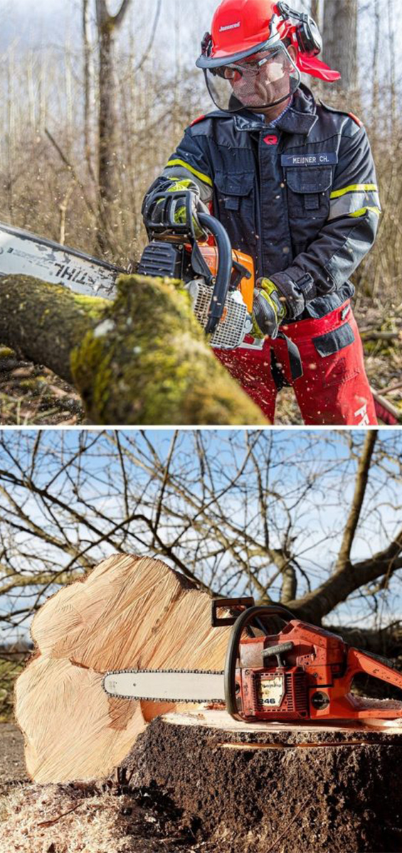 Abattage d'arbres à Bordeaux 33000