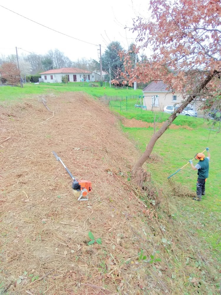 débroussaillage en Gironde