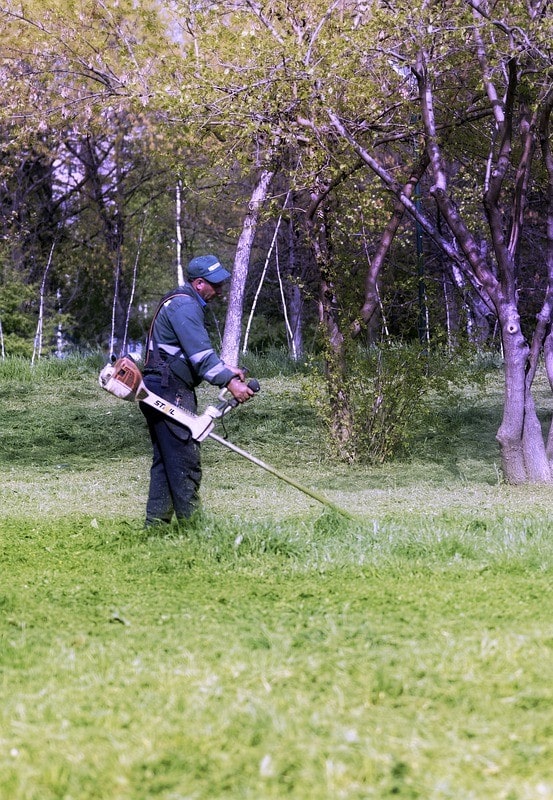 débroussaillage à Langon