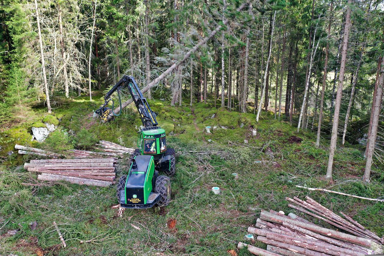 tracteur broyeur forestier